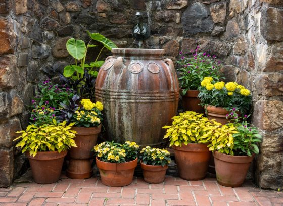 A range of varieties of container planters, set agains a dark stone wall. 