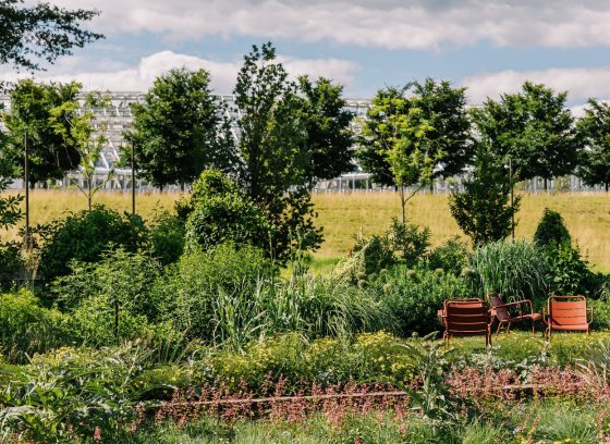 A wide, sunlit landscape view of a manicured meadow and garden area featuring several reddish-brown lounge chairs, with a glass conservatory structure visible in the distance under a blue, cloudy sky.