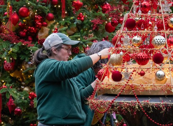 A person decorating a red and gold christmas tree with ornaments.