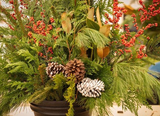 A floral arrangement featuring evergreen branches, pinecones, and red berry branches.