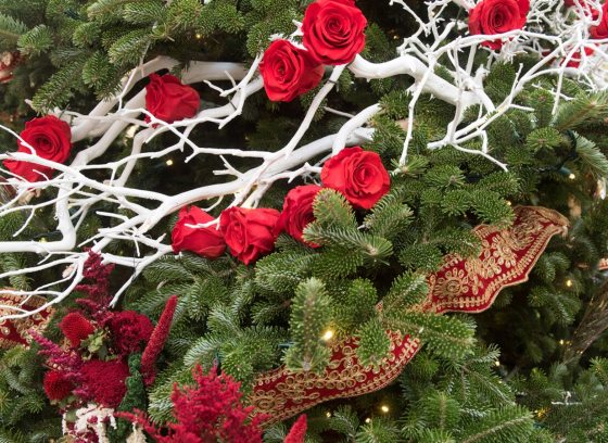A close up of a Christmas tree decorated with red flowers, ribbon, and white branches.