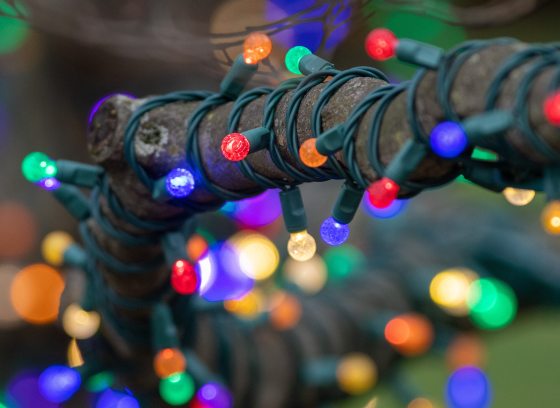 Closeup of colorful holiday lights wrapped around the bare branch of a tree.