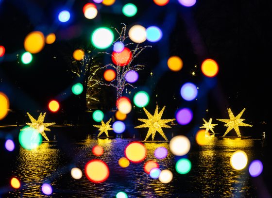 abstract view of points of light from multi-colored Christmas lights layered over a view of a body of water with large illuminated stars floating