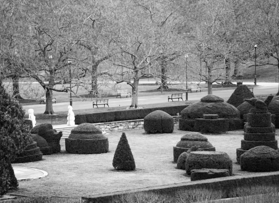 A black and white image of a wide angle landscape, featuring topiary trees in the foreground. 