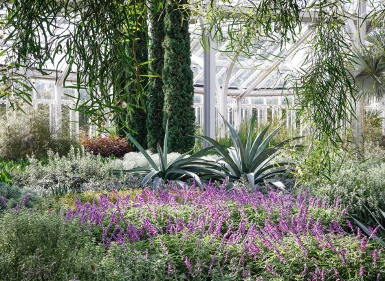 The interior gardens of the West Conservatory at Longwood, featuring a muted palette of green and white.