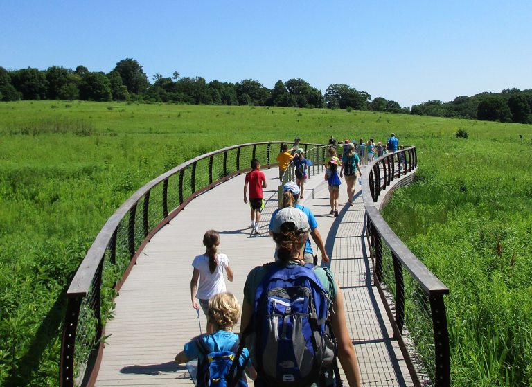 Children walking through a meadow during Longwood Gardens summer camp