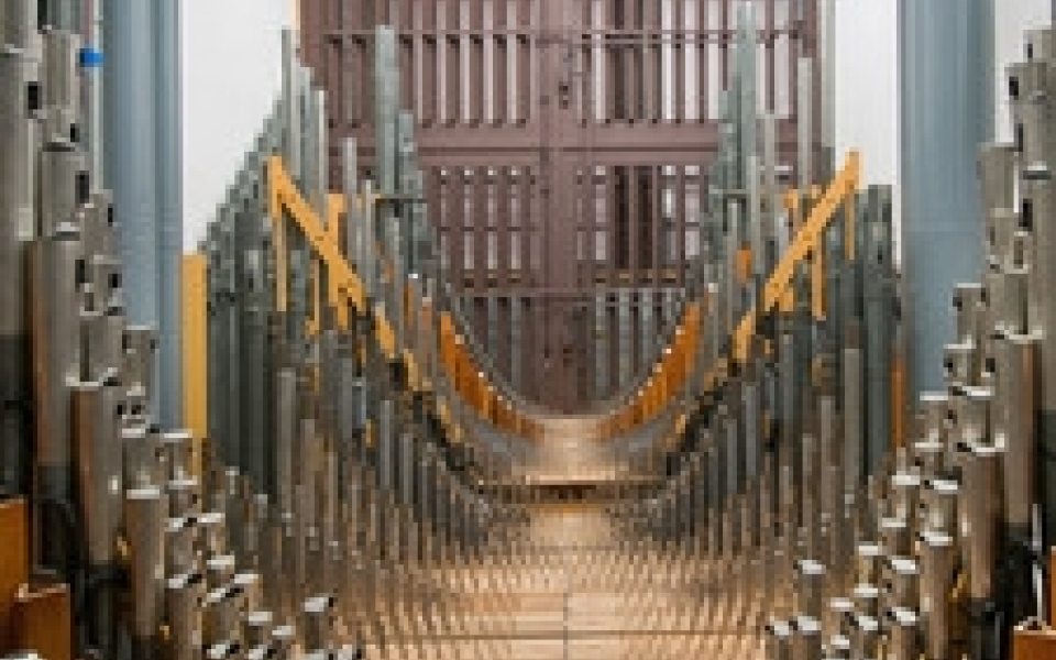 The Longwood Organ Longwood Gardens
