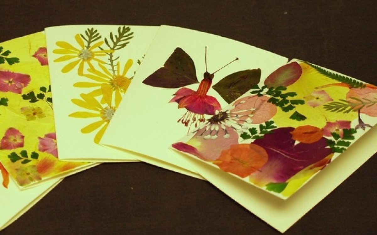 How to Press Flowers & Create Handmade Greeting Cards Longwood Gardens