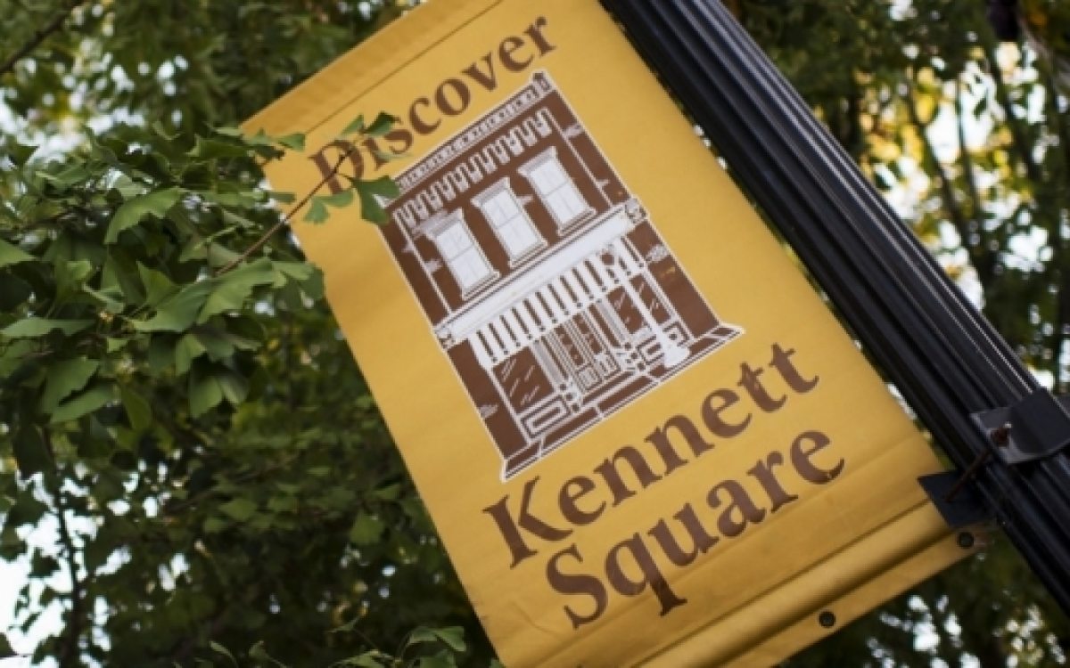 Member Regional Discounts Longwood Gardens