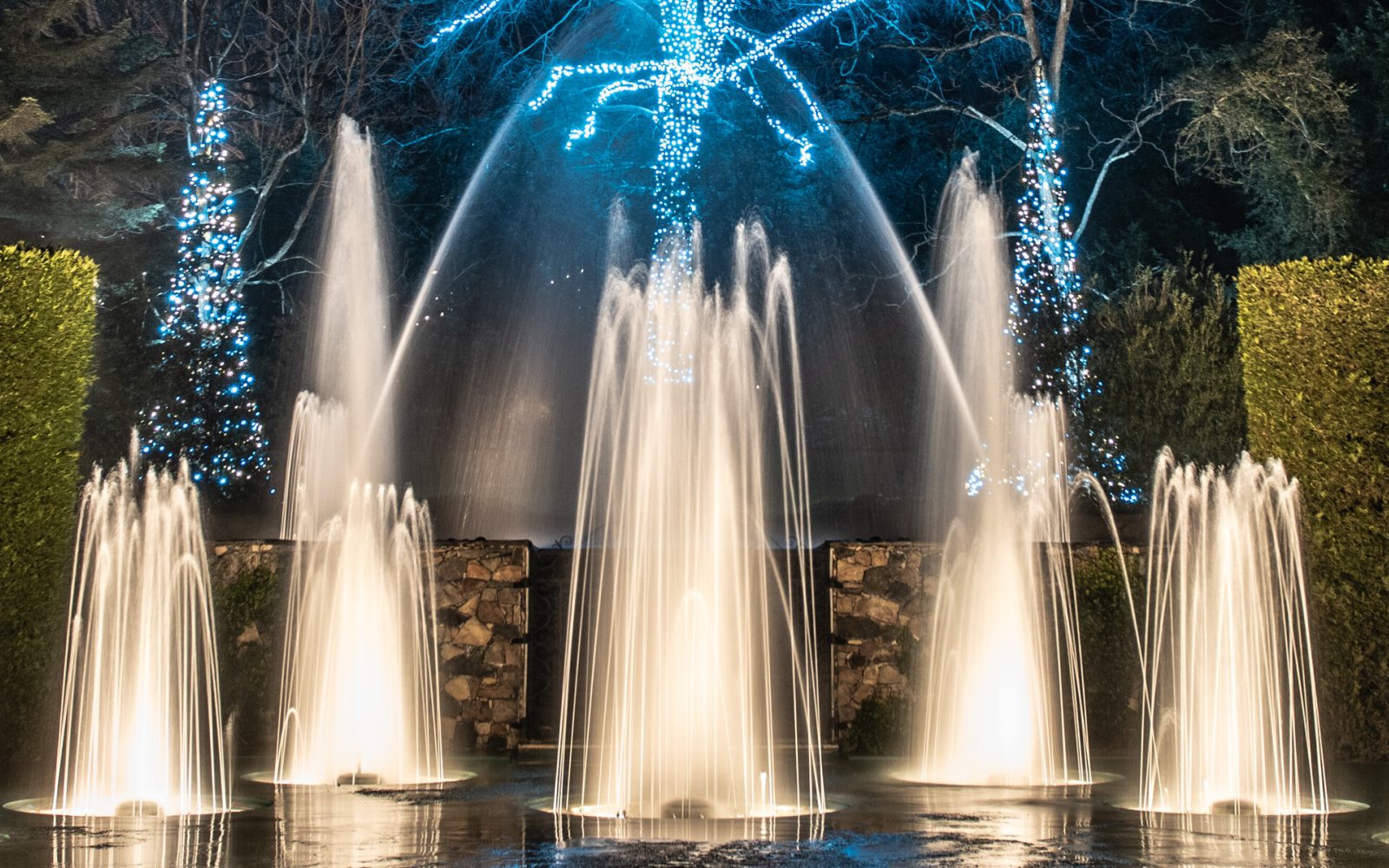 Events & Performances Longwood Gardens