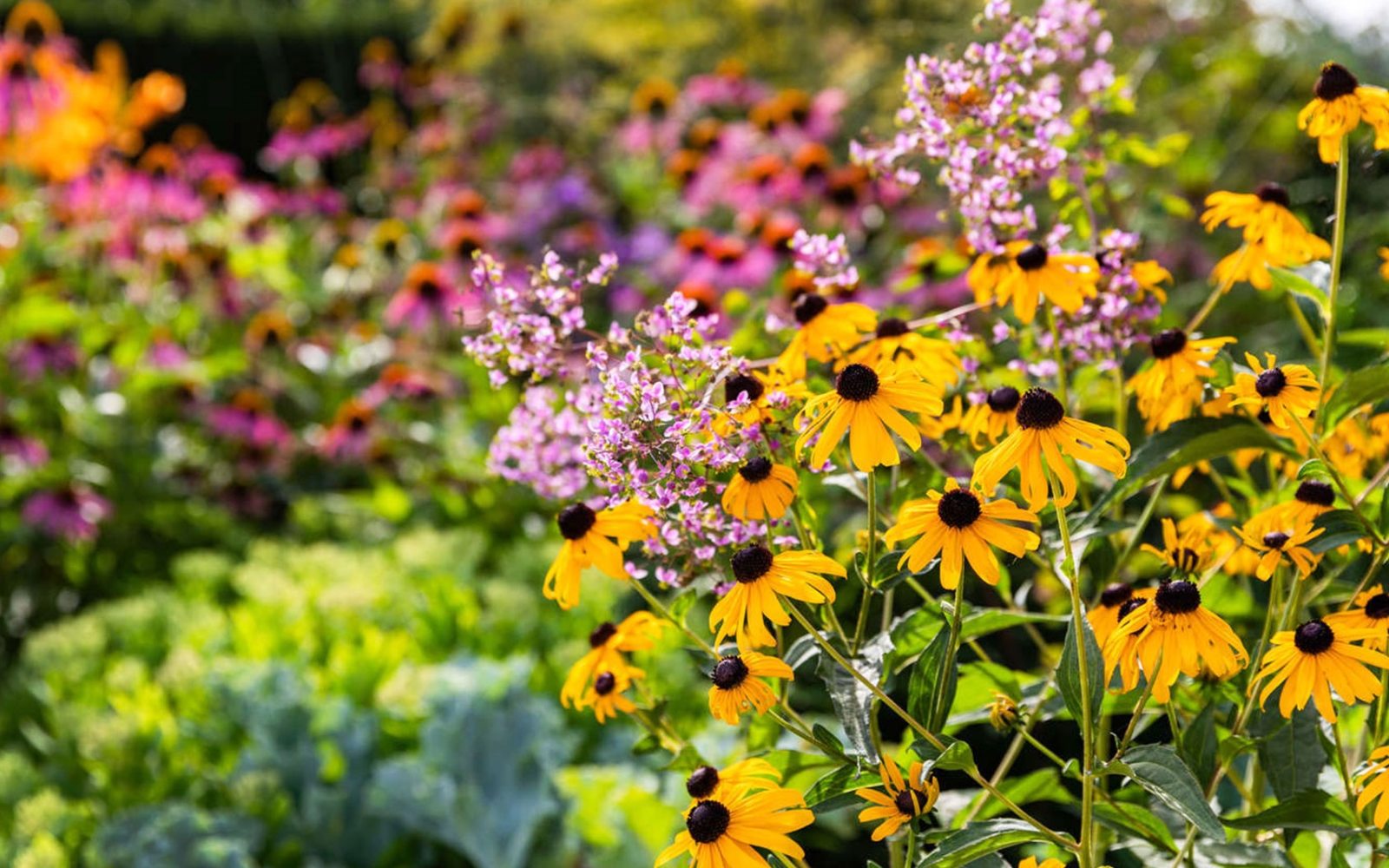 Complimentary Guest Tickets | Longwood Gardens