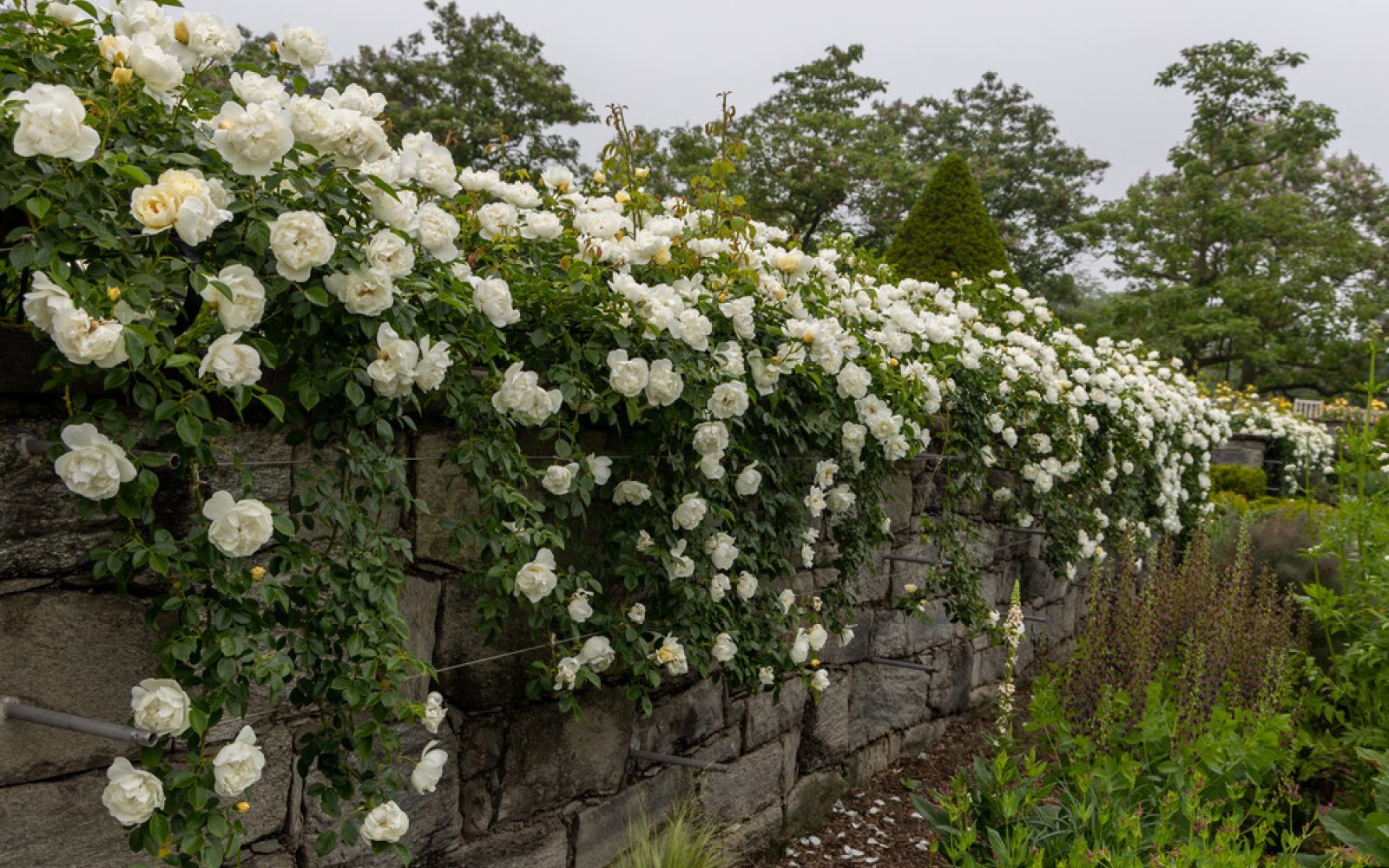 Explore Longwood Gardens | Longwood Gardens