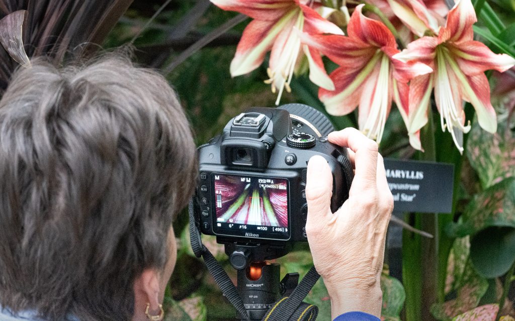 Give the Gift of Longwood Gardens Longwood Gardens