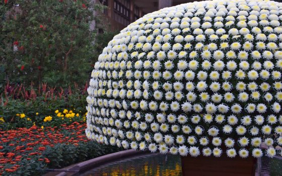 Cultures of Beauty | Longwood Gardens