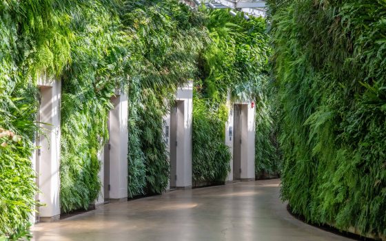A luscious wall of green ferns and other plants lines a hallway of doors