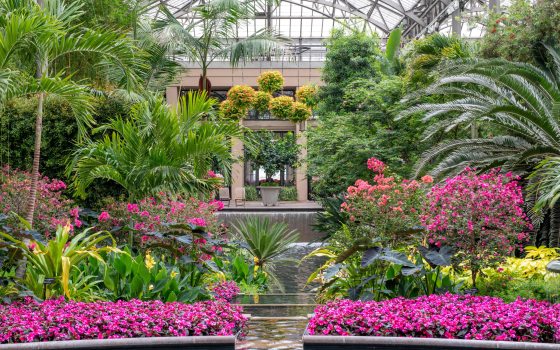 Pink and yellow plants line an indoor water feature surrounded by tall green palms with yellow hanging baskets in the difference