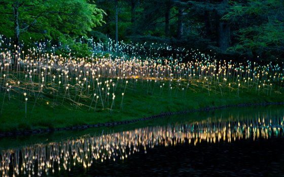 Illuminating Gardens | Longwood Gardens