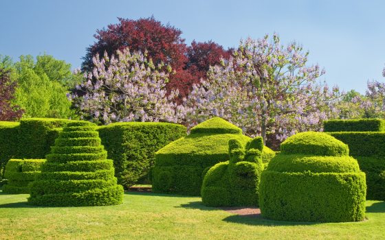 landscape image of the topiary garden