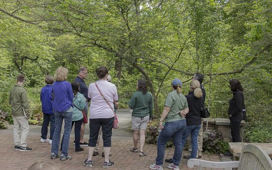 a group of adults on a tour listen to the guide surrounded by trees