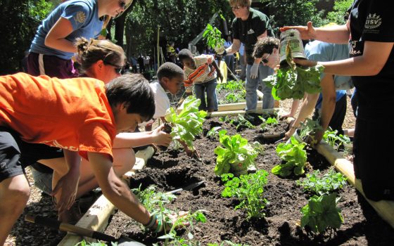a group of children plant a garden together