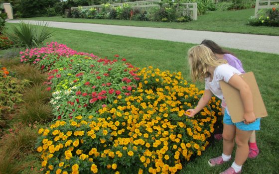 two children investigate a bed of flowers