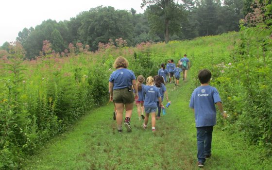 a group of children walk through a lush green meadow