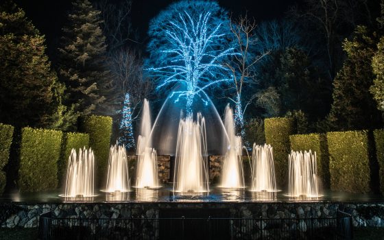 A white lit up fountain show on a stage with green hedges lining the side and a large lit up blue tree in the distance