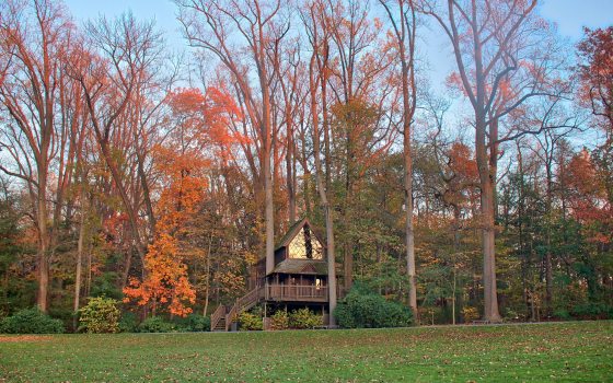 A wooden two-story treehouse sits among a large area of trees with green and orange leaves