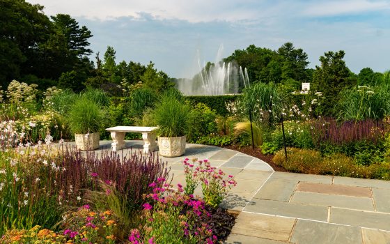 A stone walkway leades to a small bench among garden beds of yellow, pink, and green plants with large water fountain streams seen in the background