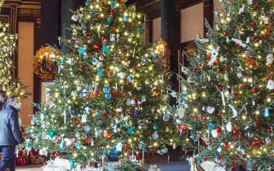 two adults walk through three christmas trees heavily decorated for the holidays