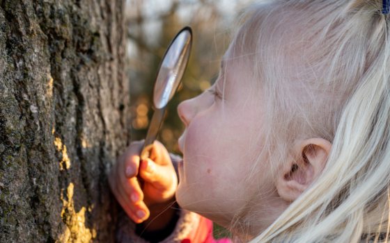 child uses a magnifying glass to look at tree bark