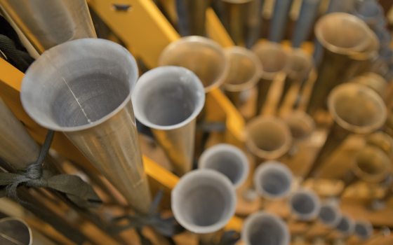 multiple organ pipes 