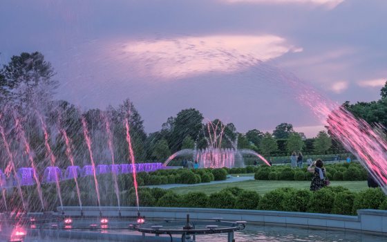 pink and purple colored water jets out of fountain garden against a cotton candy sunset