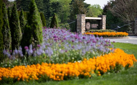 the main entrance of Longwood Gardens with bright yellow and purple flowers surrounding the sign 