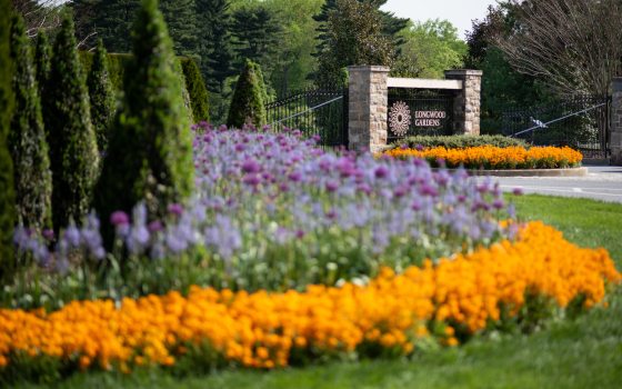 Longwood Gardens Discount Code: Save Big on Tickets