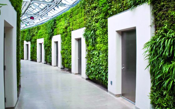 a wall filled with green ferns with white door ways 
