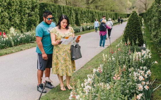 two people looking at a map and surrounded by spring blooms 