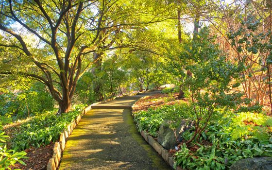 A path leads through natural garden beds lined by green trees