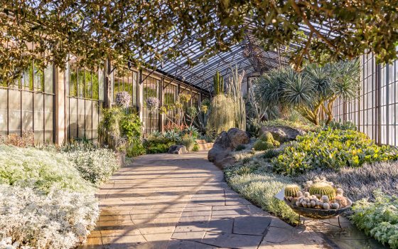 morning sun shines through glass windows into a conservatory room filled with desert plants along a stone pathway