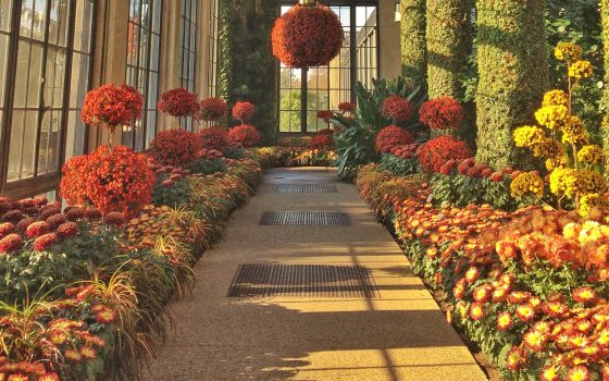 a walkway leads through garden beds full of orange, yellow, and red chrysanthemums toward a large red hanging basket and curved windows, all in a glass conservatory