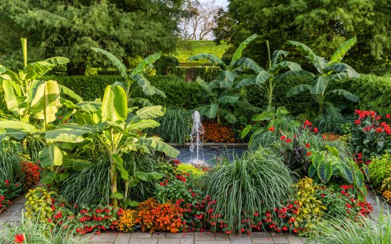Large green plants stand tall over colorful red and orange flower beds and a square fountain