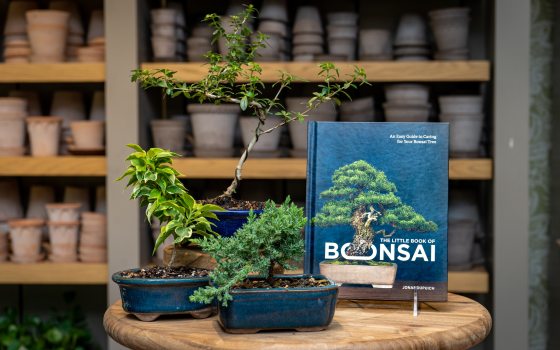 a bonsai and book about bonsai