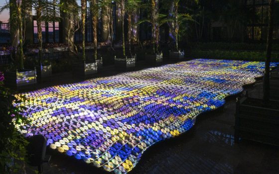 an array of discs reflects blue, purple, yellow and white light onto the surrounding indoor garden