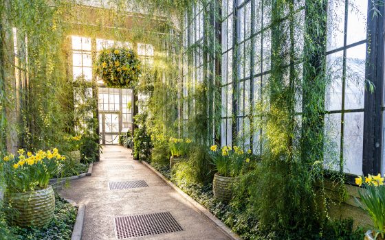 Conservatory District | Longwood Gardens