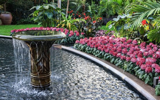 a pedestal fountain overflows into a basin edged by pinkish-red mums and backed by tropical foliage
