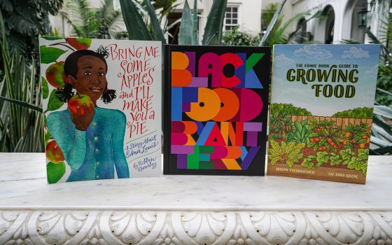 closeup of 3 colorful books about food on a white stone bench