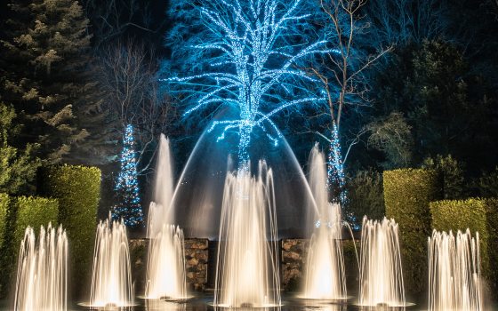 fountain jets of illuminated white water against a background of trees lit with blue lights