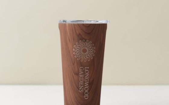 brown tumbler drinkware with a rosette