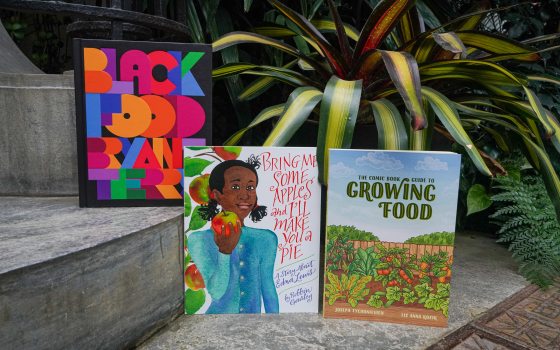 Two books arranged next to each other on a step, with a third book on the step above, with plants in the background