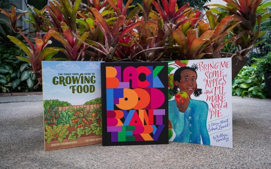 closeup of 3 colorful books about food on the floor in front of a plant with red and green foliage